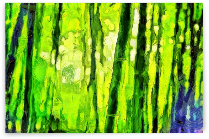 Bamboo forest oil painting in Vincent Willem van Gogh style.  This is an art print not the original. 3 by ArtEastWest