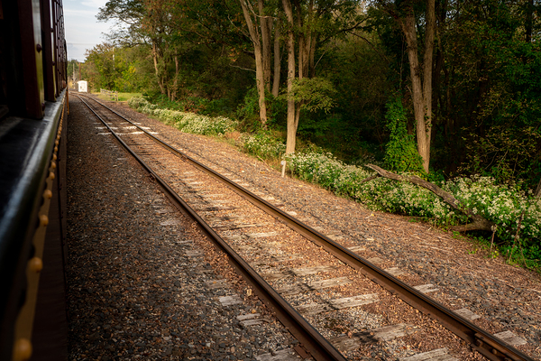 Riding Down the New Hope Rails Digital Download