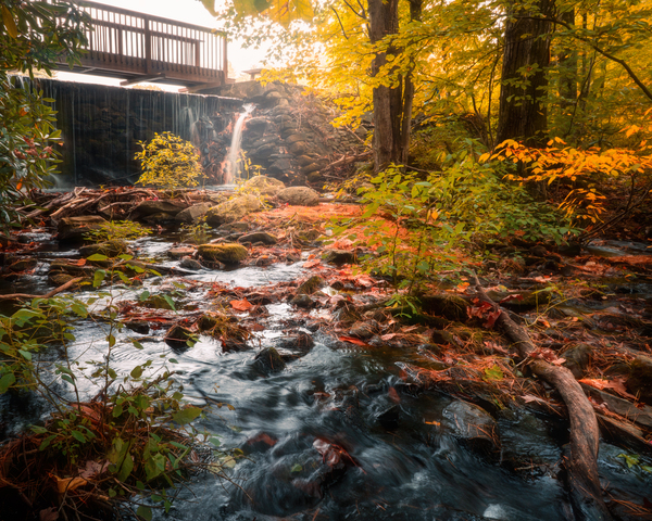 The Creek at Ice Lake Park Digital Download