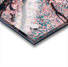 Spring Overhead Acrylic print