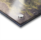 Cedar Creek Park   Late Spring Dogwood Acrylic print