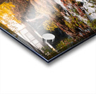 The Creek at Ice Lake Park Acrylic print