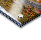 Fall Aerial Mauch Lake Beach and Landscape Acrylic print