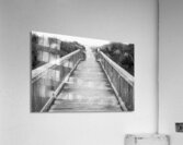 A Walk to the Beach   Black and White Acrylic Print