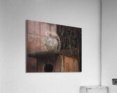 Squirrel on a Birdhouse   Rainy Autumn Acrylic Print