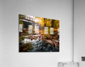 The Creek at Ice Lake Park Acrylic Print