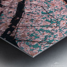 Spring Overhead Metal print