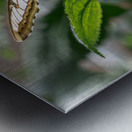 Check Out My Wings Metal print