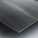 Lotus Inn Over the Grassy Dunes in Wildwood Crest Metal print