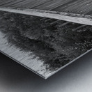 A Walk to the Beach   Black and White Metal print