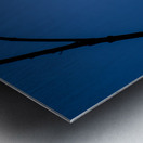 Bird Silhouette Dark Blue Metal print