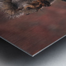 Squirrel on a Birdhouse   Rainy Autumn Metal print