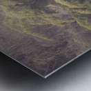 Cedar Creek Park   Late Spring Dogwood Metal print