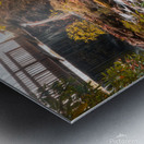 The Creek at Ice Lake Park Metal print