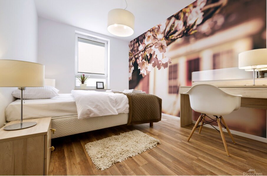 Early Spring Cherry Blossom and Red Door Mural print
