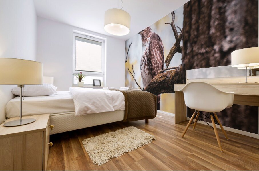 Red Tailed Hawk Mural print