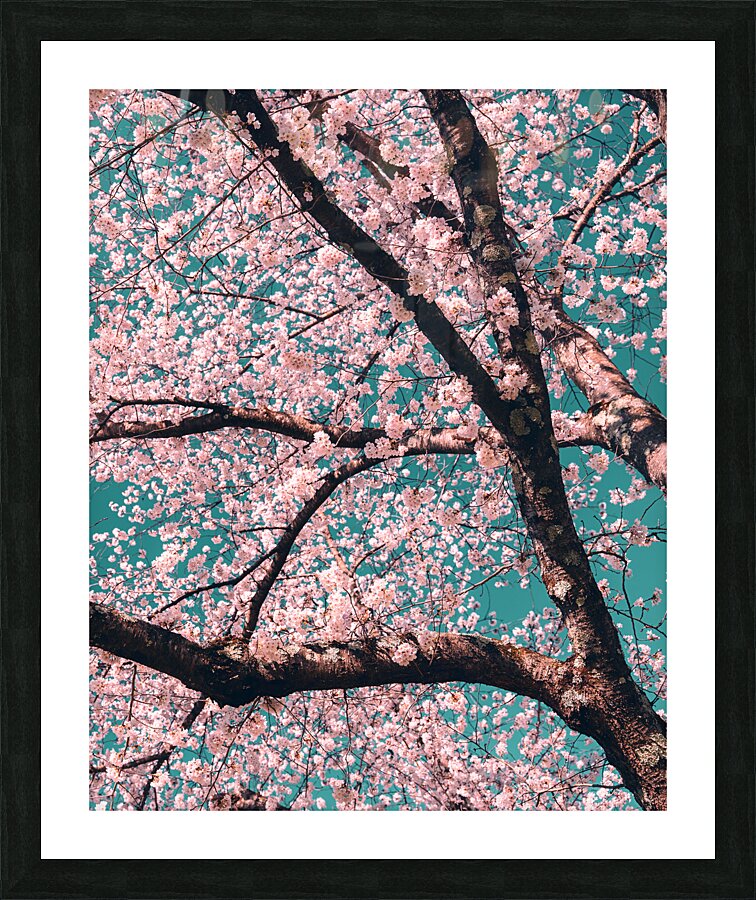 Spring Overhead Picture Frame print