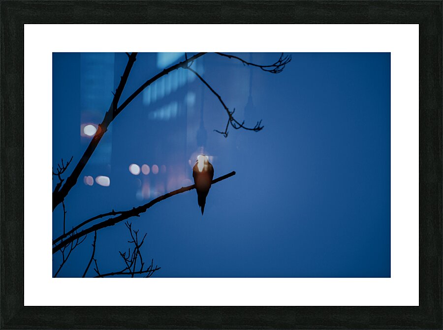 Bird Silhouette Dark Blue Picture Frame print