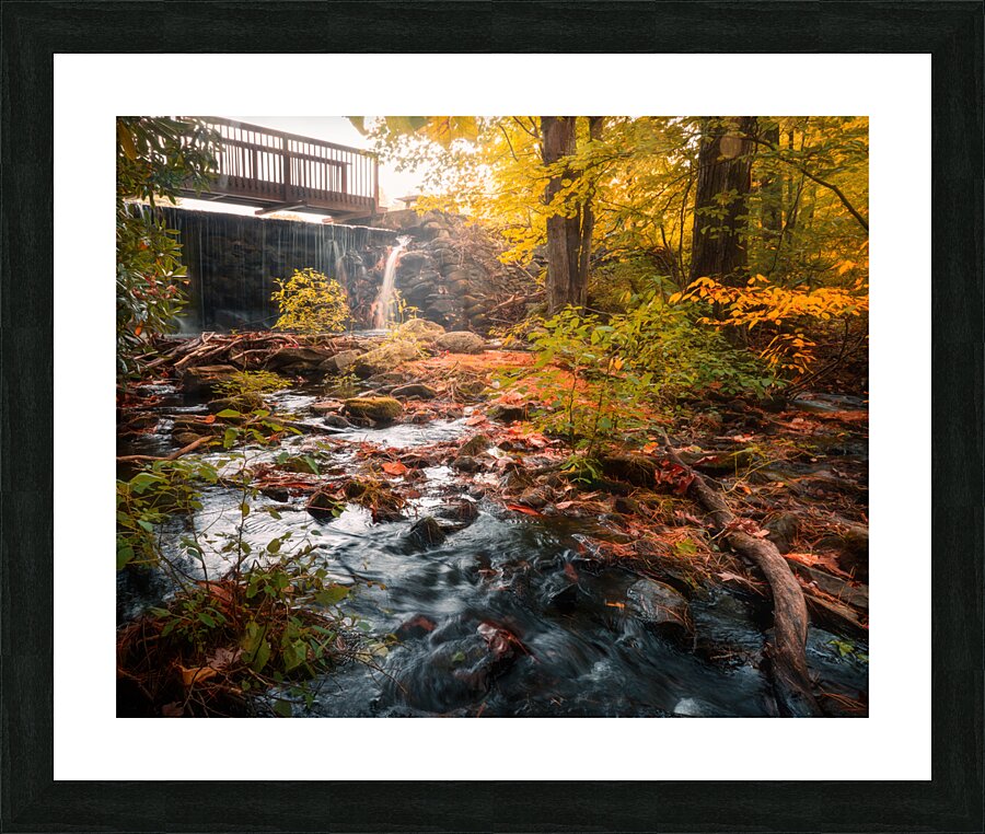 The Creek at Ice Lake Park Picture Frame print