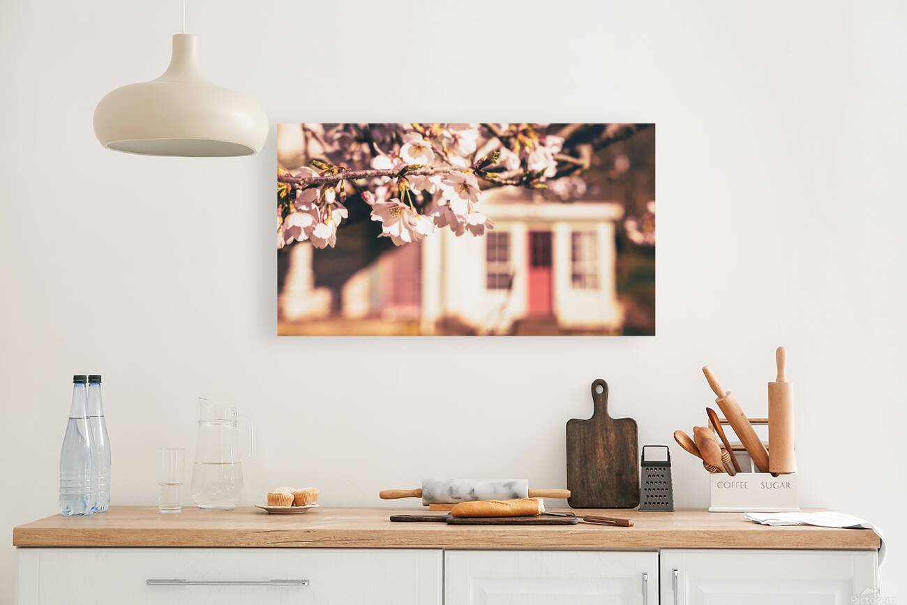 Early Spring Cherry Blossom and Red Door Reproduction