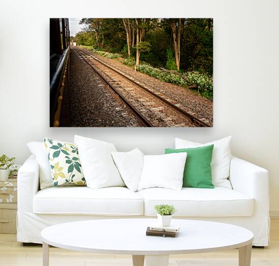 Riding Down the New Hope Rails Reproduction