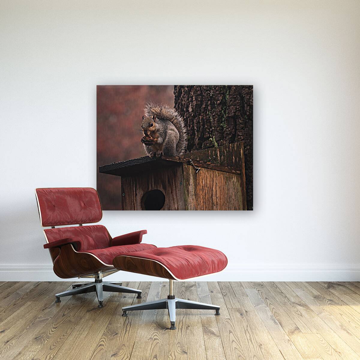 Squirrel on a Birdhouse   Rainy Autumn Reproduction