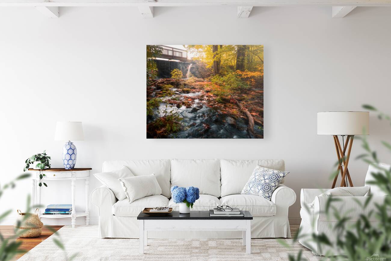 The Creek at Ice Lake Park Reproduction