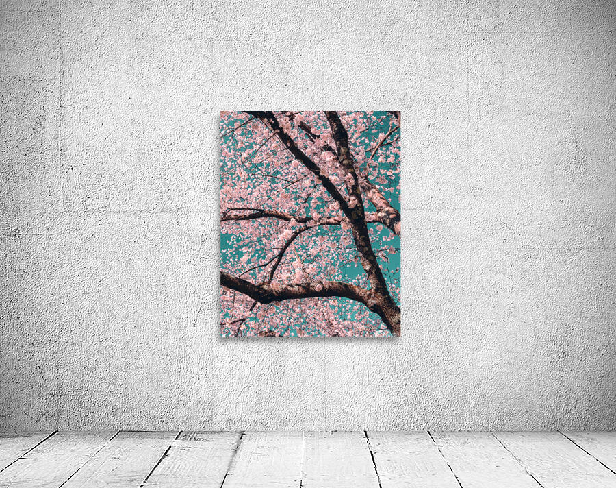 Spring Overhead Wall Preview