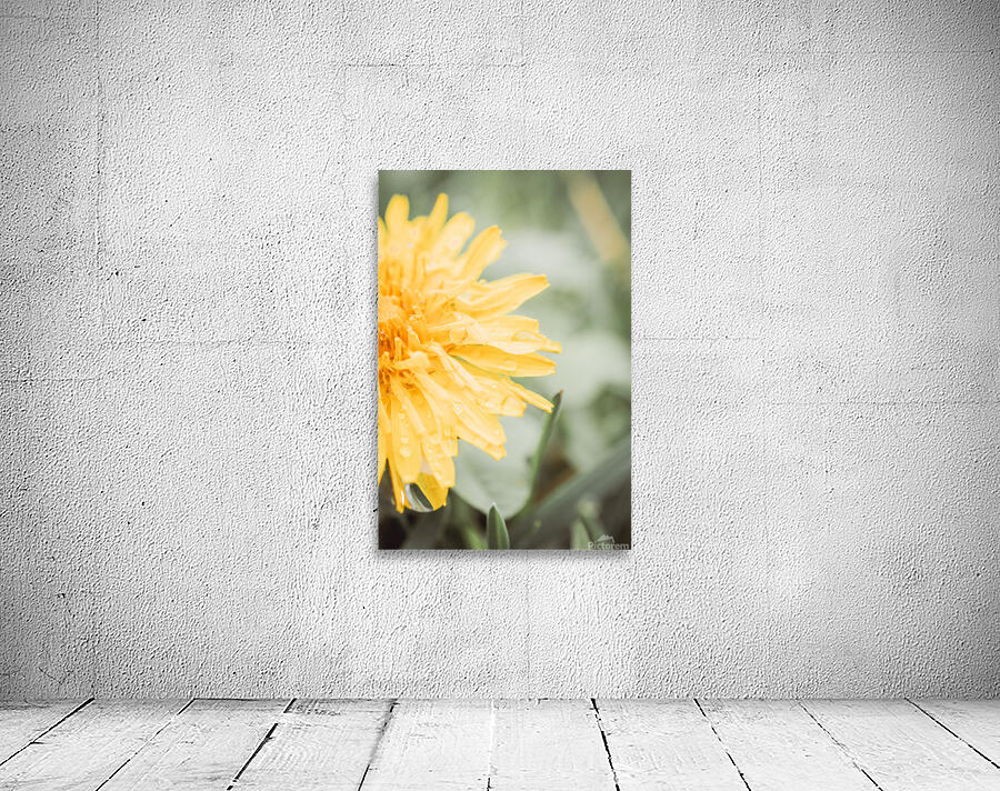 Dandelion Right Wall Preview