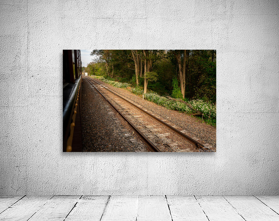 Riding Down the New Hope Rails Wall Preview