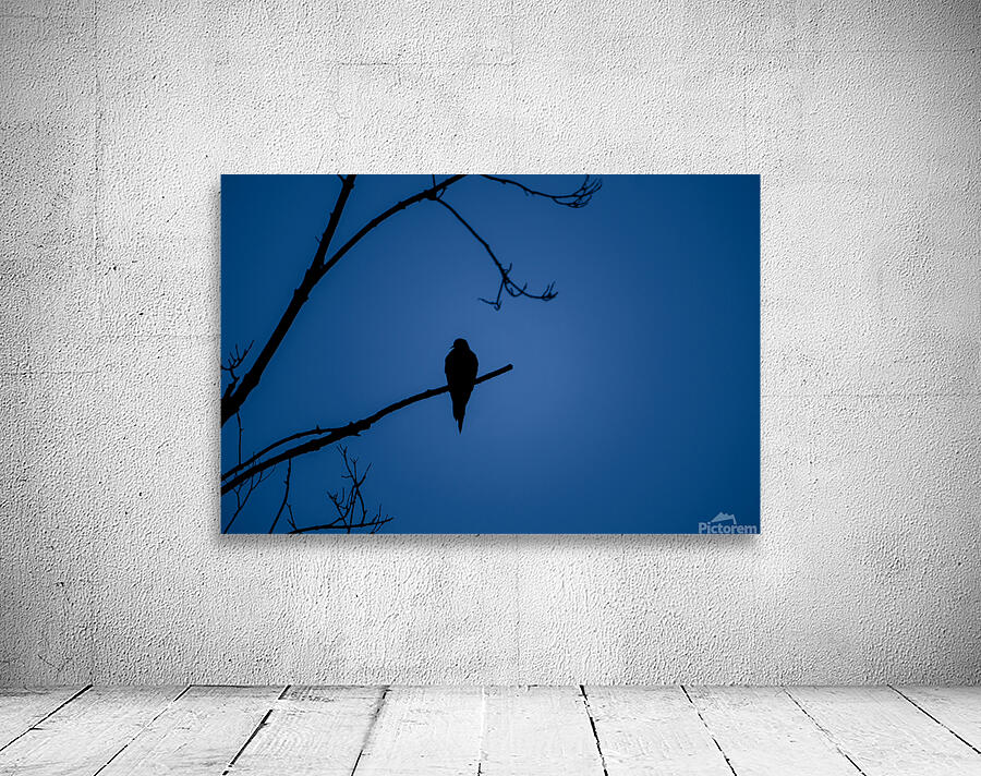 Bird Silhouette Dark Blue Wall Preview