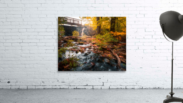 The Creek at Ice Lake Park Wall Preview