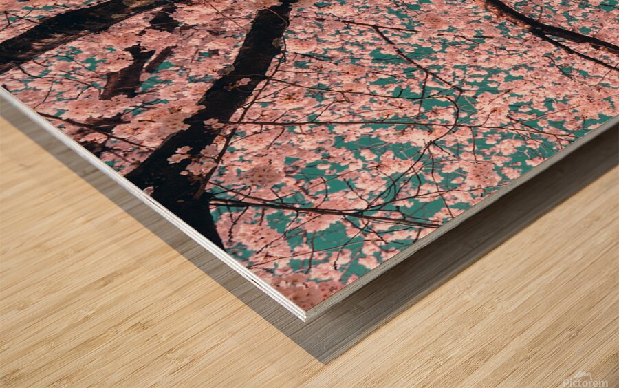 Spring Overhead Wood print