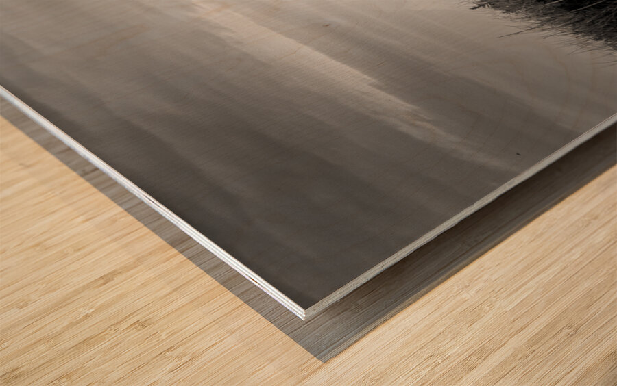 Lotus Inn Over the Grassy Dunes in Wildwood Crest Wood print