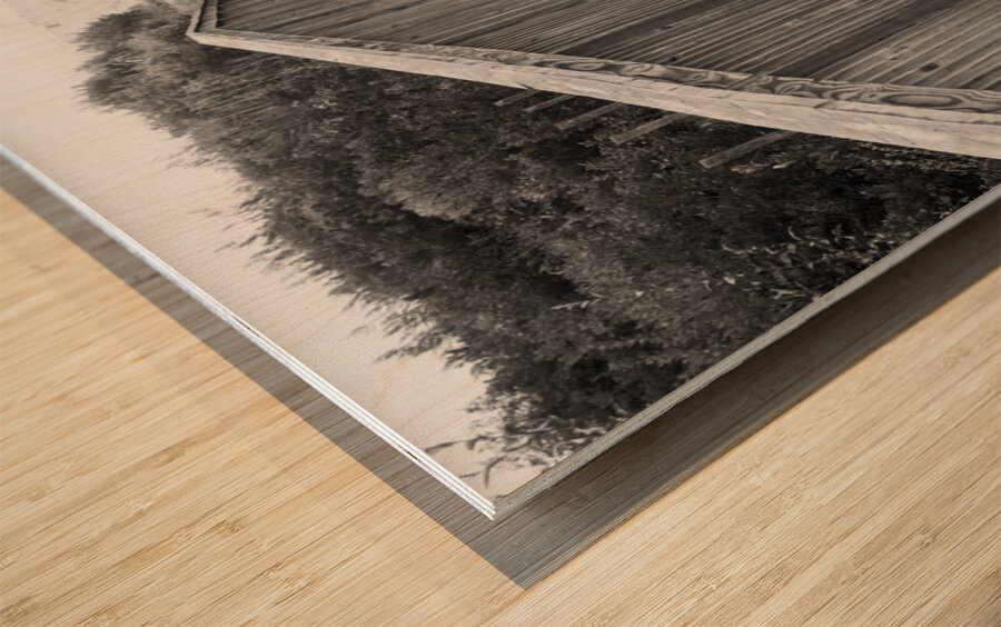 A Walk to the Beach   Black and White Wood print