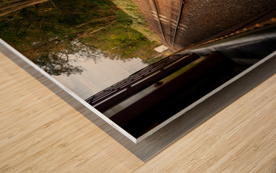 Riding Down the New Hope Rails Wood print