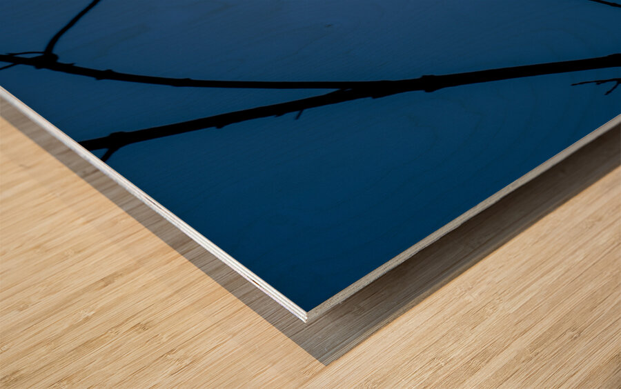 Bird Silhouette Dark Blue Wood print