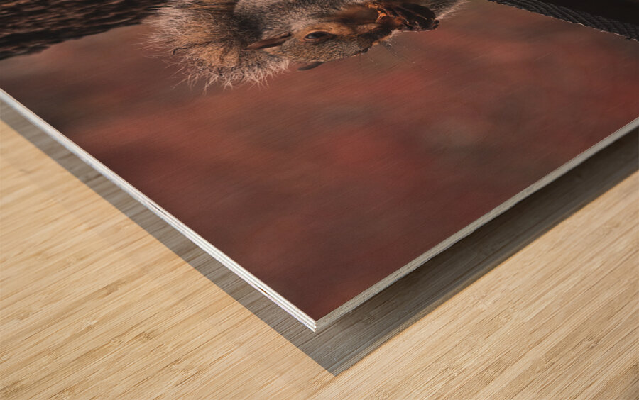 Squirrel on a Birdhouse   Rainy Autumn Wood print