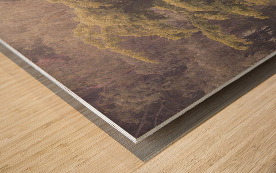 Cedar Creek Park   Late Spring Dogwood Wood print