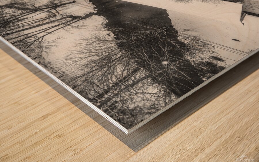 Black and White Snowy Bogert Covered Bridge Aerial Wood print