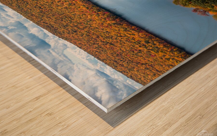 Fall Aerial Mauch Chunk Lake Recreational Area Wood print