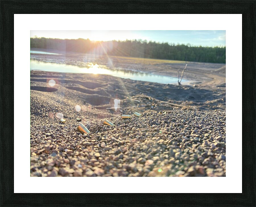 Bullet 1. Picture Frame print