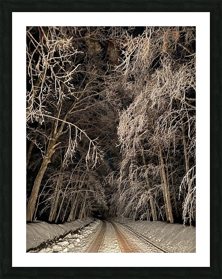 Covered in Winter. Picture Frame print