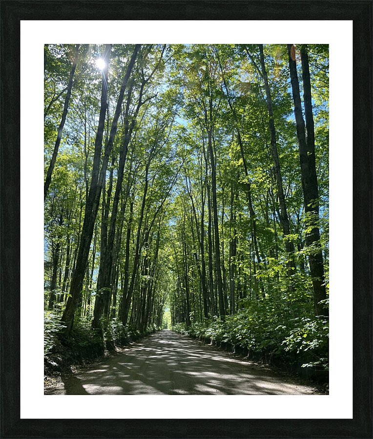 Covered in Summer. Picture Frame print
