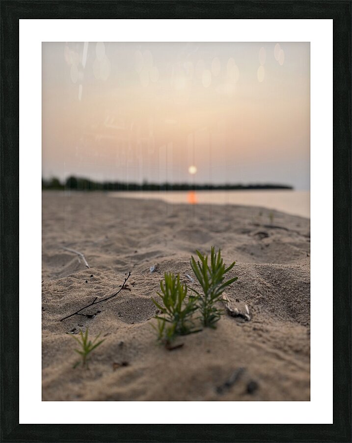 Earth 1. Picture Frame print