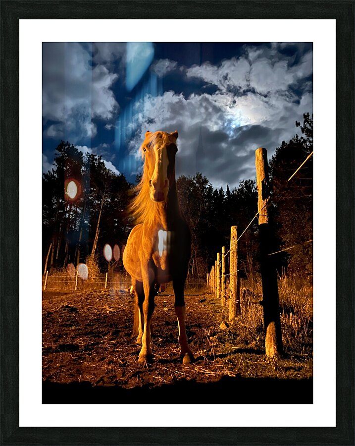 Ruger. Picture Frame print