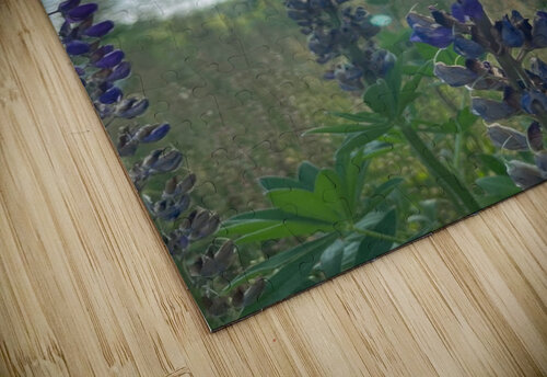 Lupine 1. KHAOS ARTISTRY puzzle