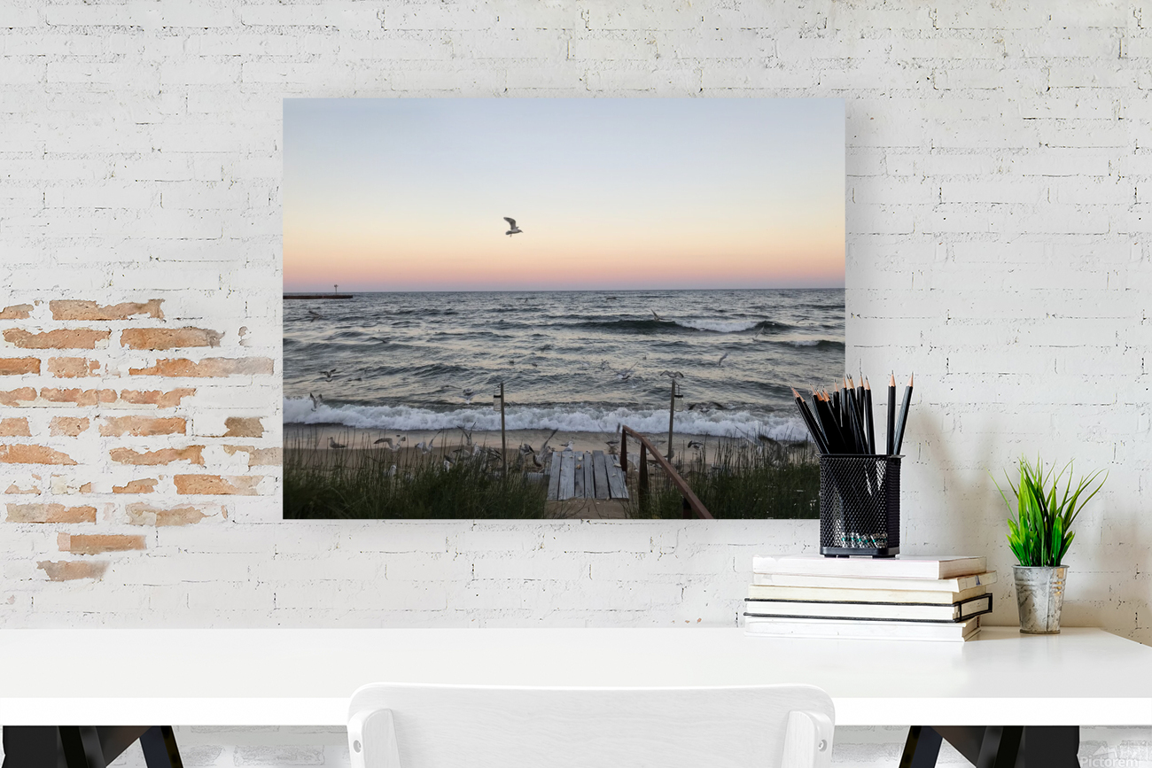 Lake Superior 4. Reproduction