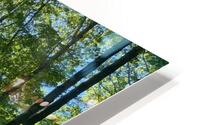 Covered in Summer. HD Metal print