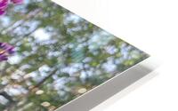 Lupine 2. HD Metal print